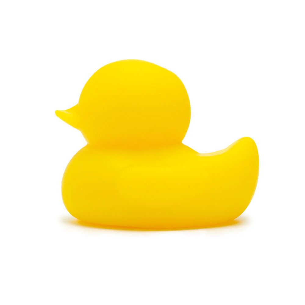 A Pound Of Flesh Large Duck