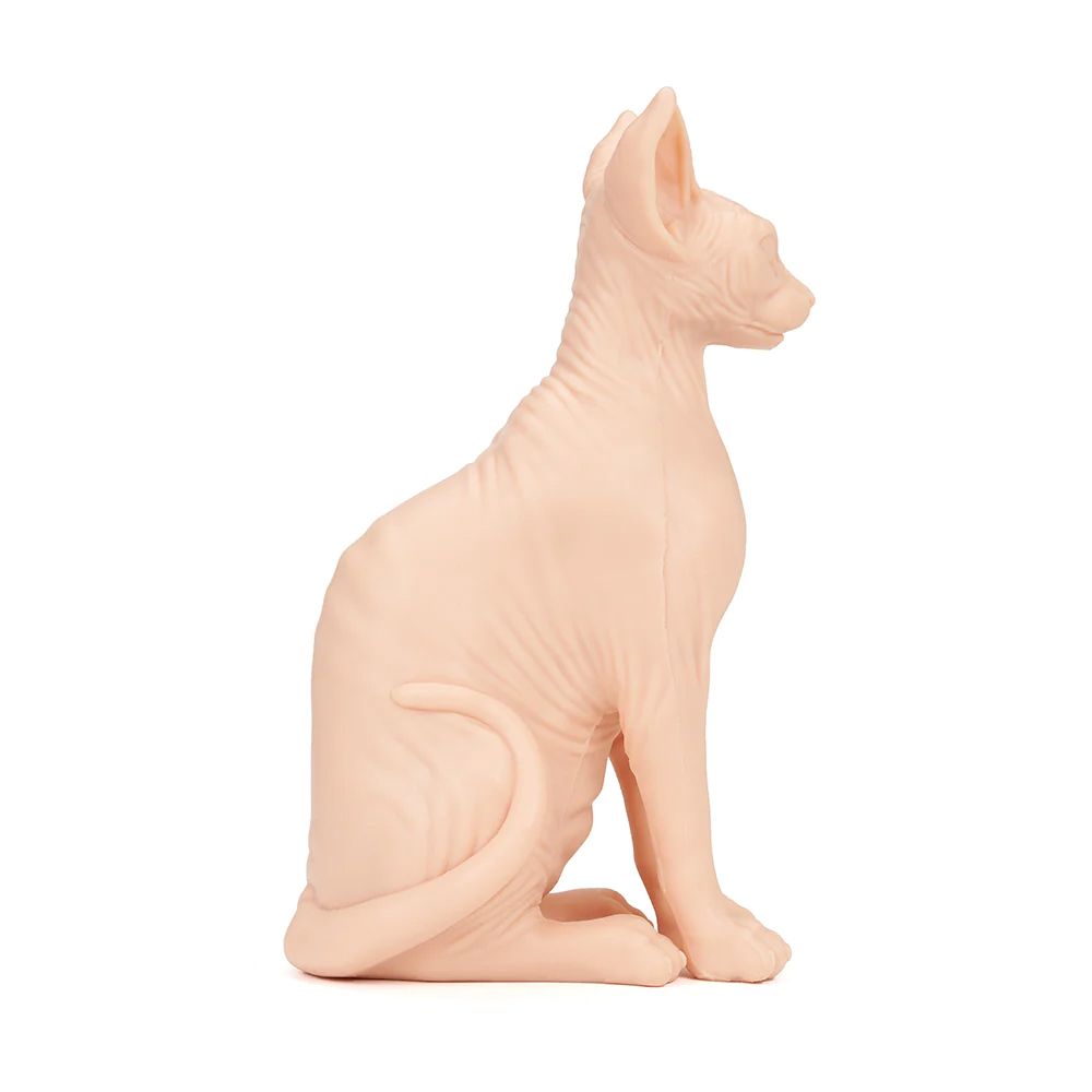 A Pound Of Flesh Naked Cat