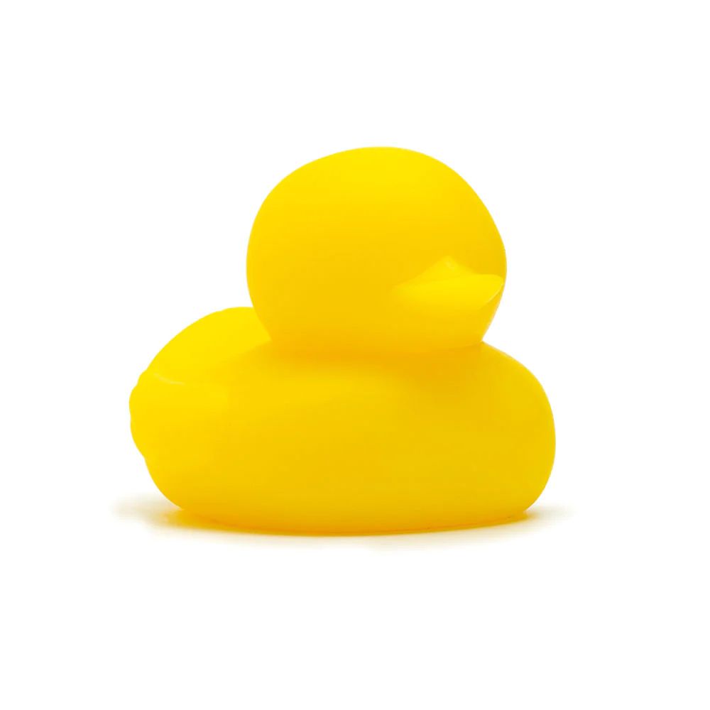 A Pound Of Flesh Large Duck