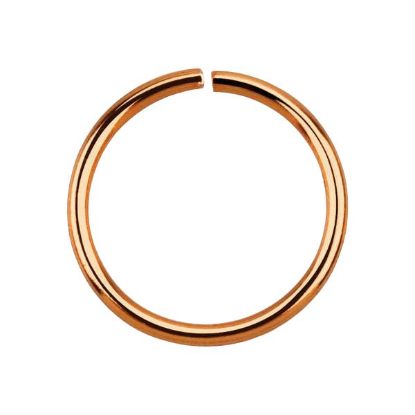 Rose Gold Seamless Ring 20g x 6mm (5)