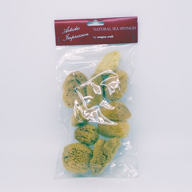 Natural Artists Standard Watercolour Sponge (10)