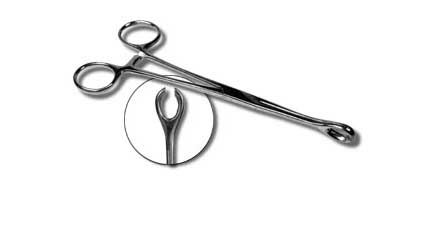 Sponge 7in Slotted Pennington Forceps