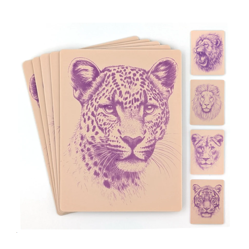 Stencil Skins Big Cat Set (5 A5 Sheets)
