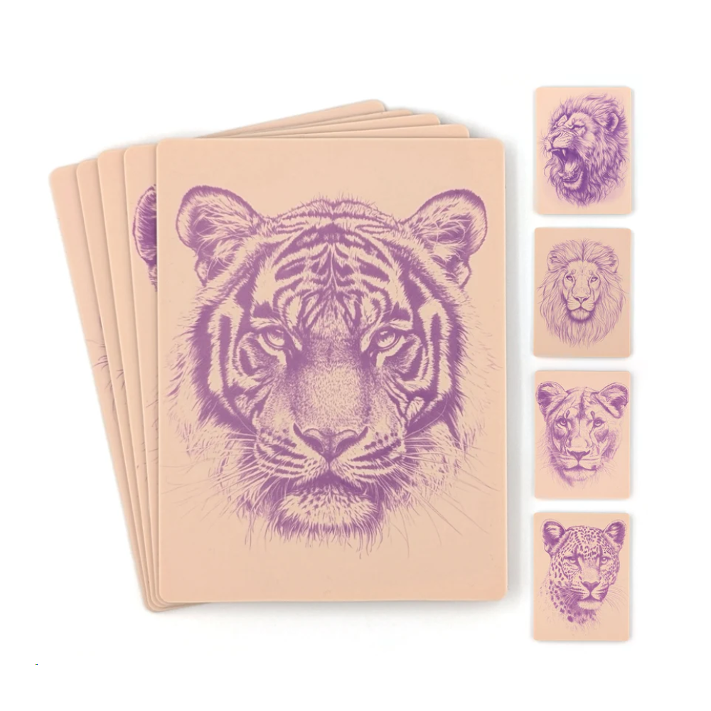 Stencil Skins Big Cat Set (5 A5 Sheets)