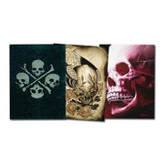 Matthew Amey - Skull Project (150 pages)
