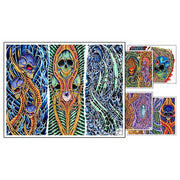 Damien Freisz Biomechanical Set 1