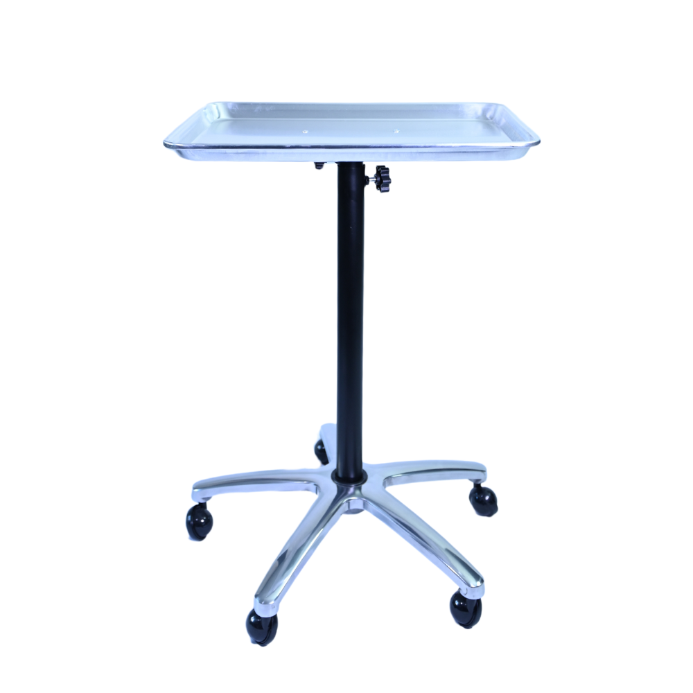 Mayo Tray And Stand Silver