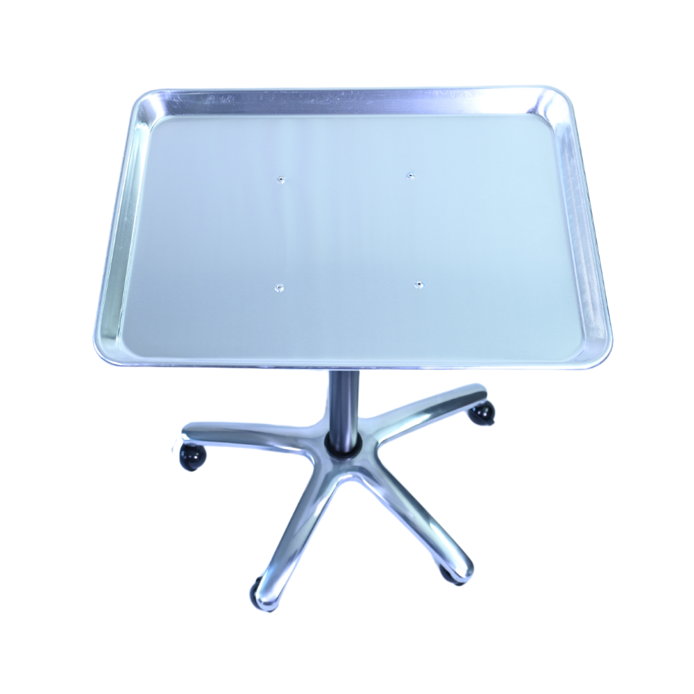 Mayo Tray And Stand Silver