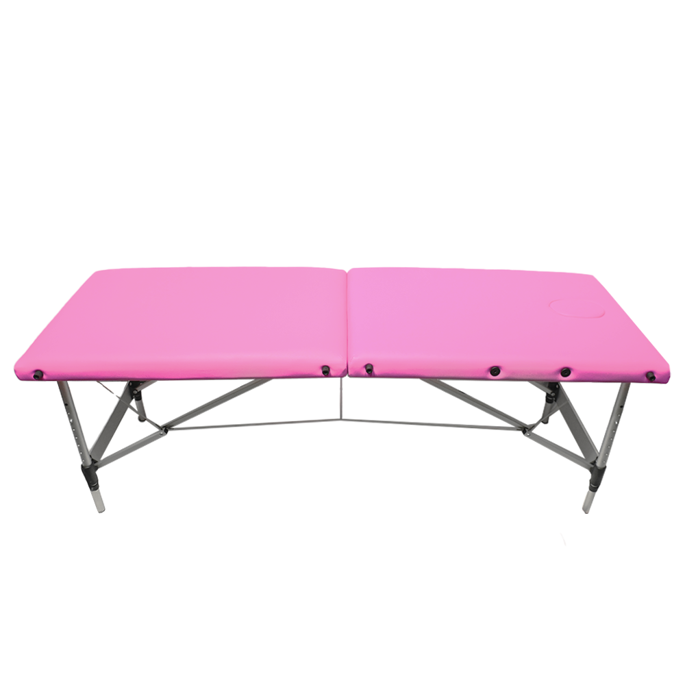 Folding Portable Tattoo Bed
