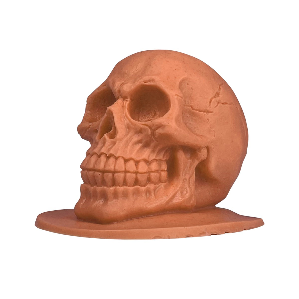 Reelskin Tattooable Skulls