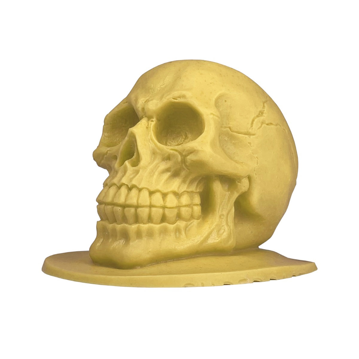 Reelskin Tattooable Skulls
