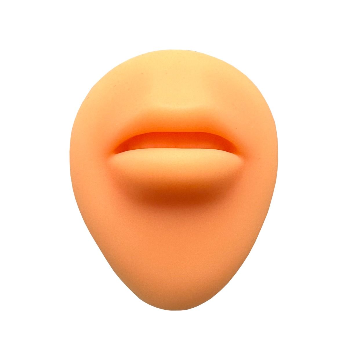 Fake Skin Silicone Mouth Practice Mould