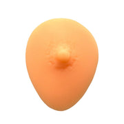 Fake Skin Silicone NIpple Practice Mould