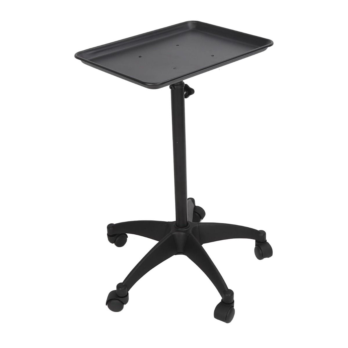 Mayo Tray And Stand Black